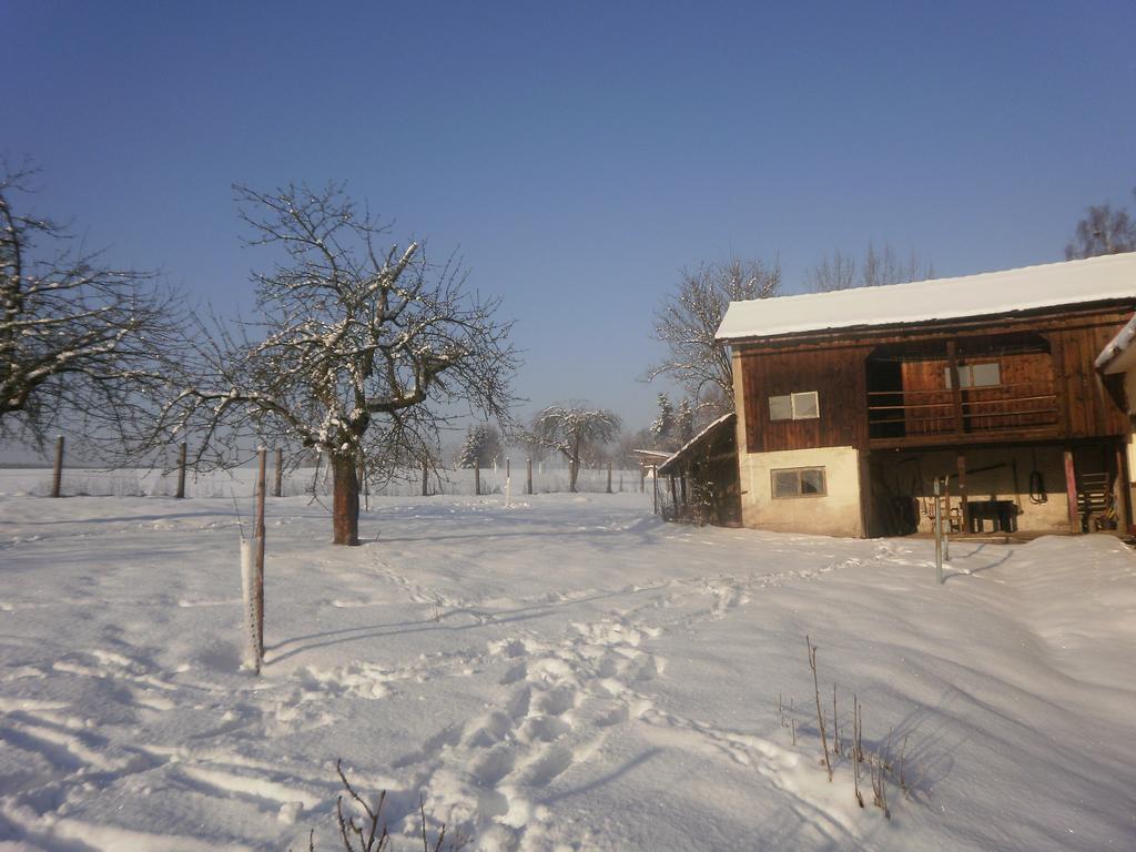 Familiehuis Fuchs Horni Branna ภายนอก รูปภาพ